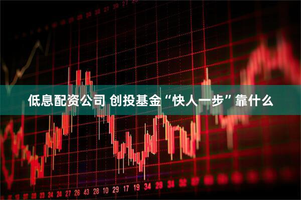 低息配资公司 创投基金“快人一步”靠什么