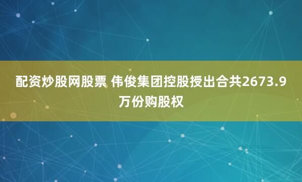配资炒股网股票 伟俊集团控股授出合共2673.9万份购股权