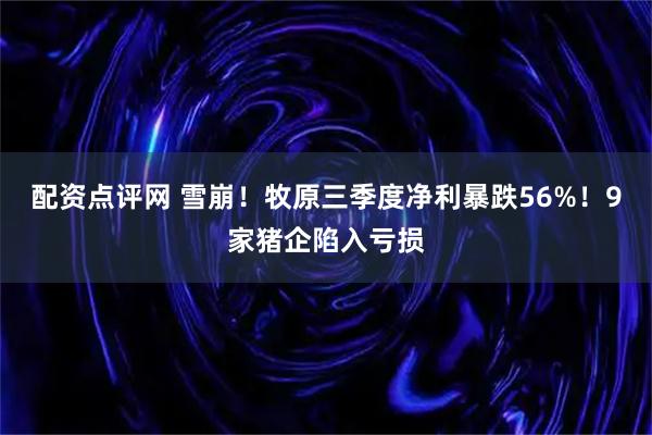 配资点评网 雪崩！牧原三季度净利暴跌56%！9家猪企陷入亏损