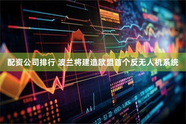 配资公司排行 波兰将建造欧盟首个反无人机系统